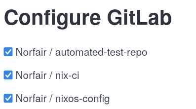 A commit log with NixCI showing CI passes immediately from the initial commit
